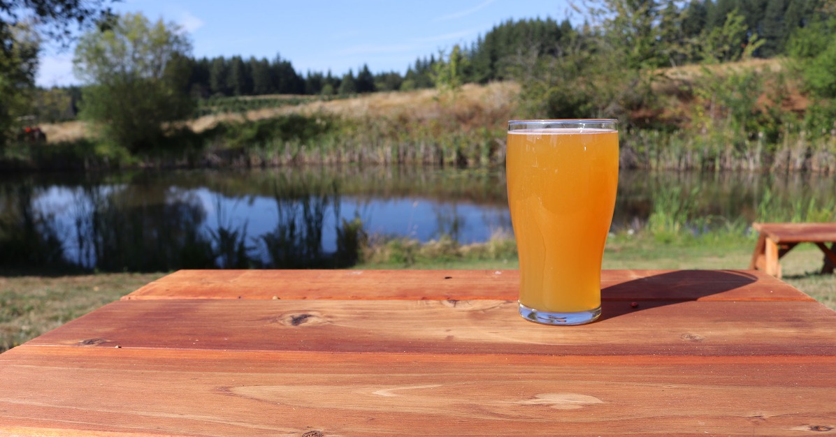 The Story Behind Stone Circle Cider