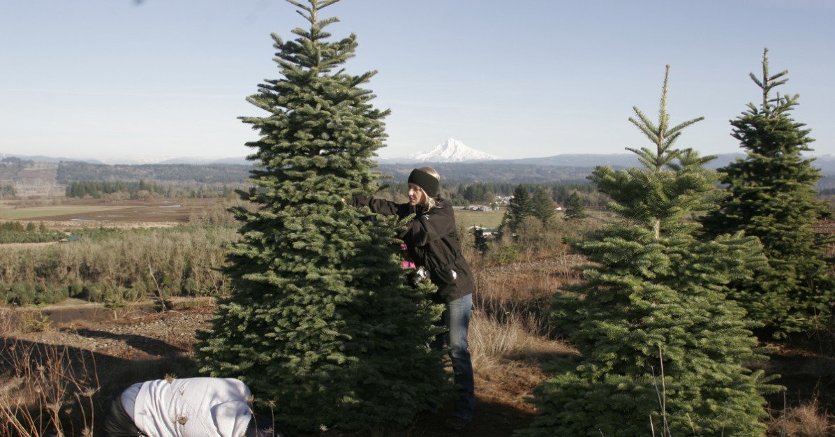 Estacada Is Home to Holiday Cheer Oregon's Mt. Hood Territory
