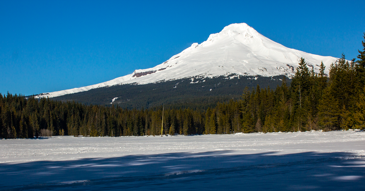 trilliumlakewinter-Social-Media-Sharing-1200x630.png
