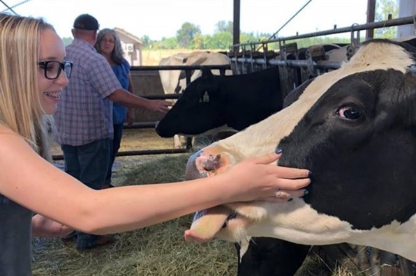 Girl and cow at TMK Creamery