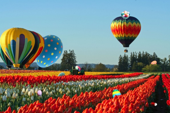 Wooden Shoe Tulip Farm Easter egg hunt