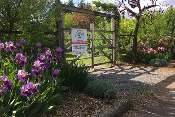 Purple iris and a wooden gate at the entrance of the 1.6 acre Home Orchard Society Arboretum demonstration orchard