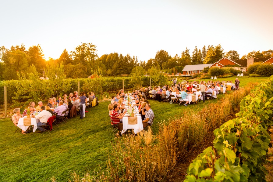 Dinner in the Field, Terra Vina Wines, guests