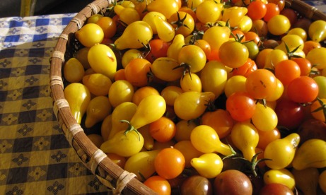 Heirloom Pear Cherry Tomatoes