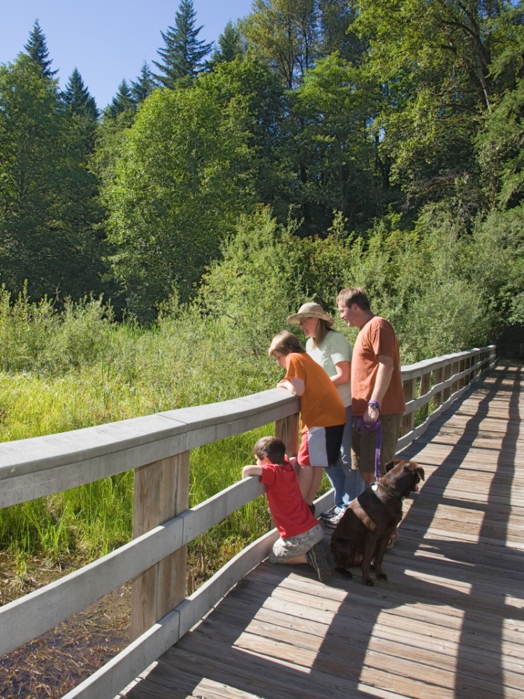 Wildwood Recreation Site, Wetland Boardwalk Trail
