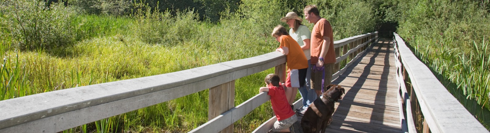 Wildwood Recreation Site, Wetland Boardwalk Trail