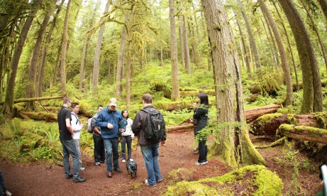 Hiking, forest trail