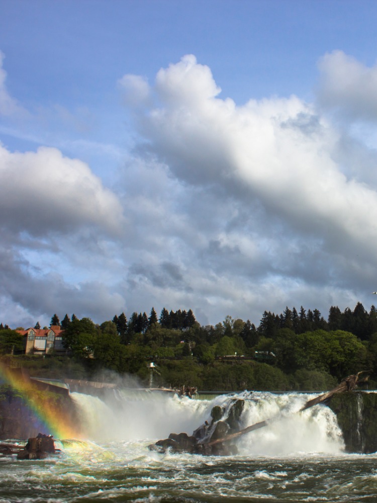 Willamette Falls, Rainbow
