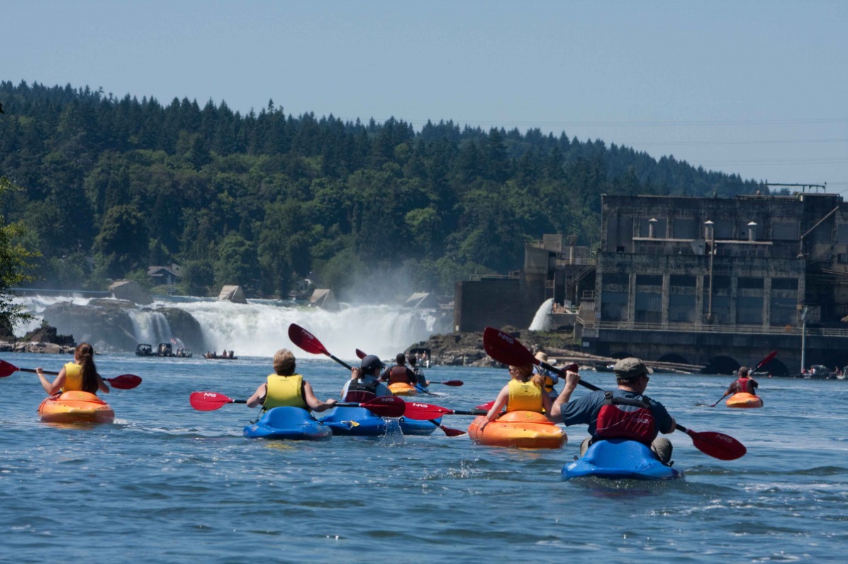 eNRG Kayaking, Willamette Falls Tour