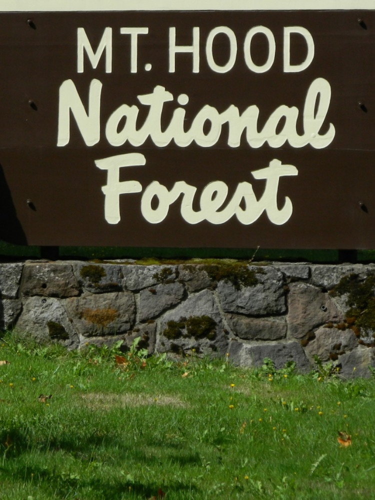Zigzag Ranger Station Signage