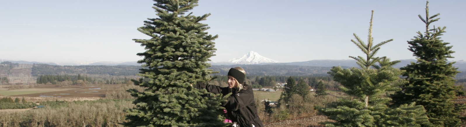 Family Cutting Down Christmas Tree