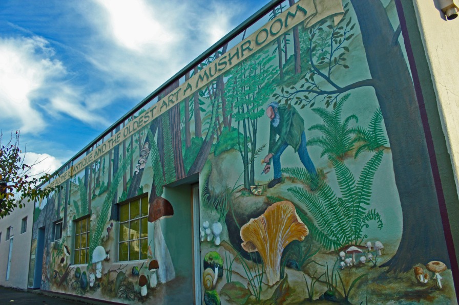 Mushroom Mural in Estacada