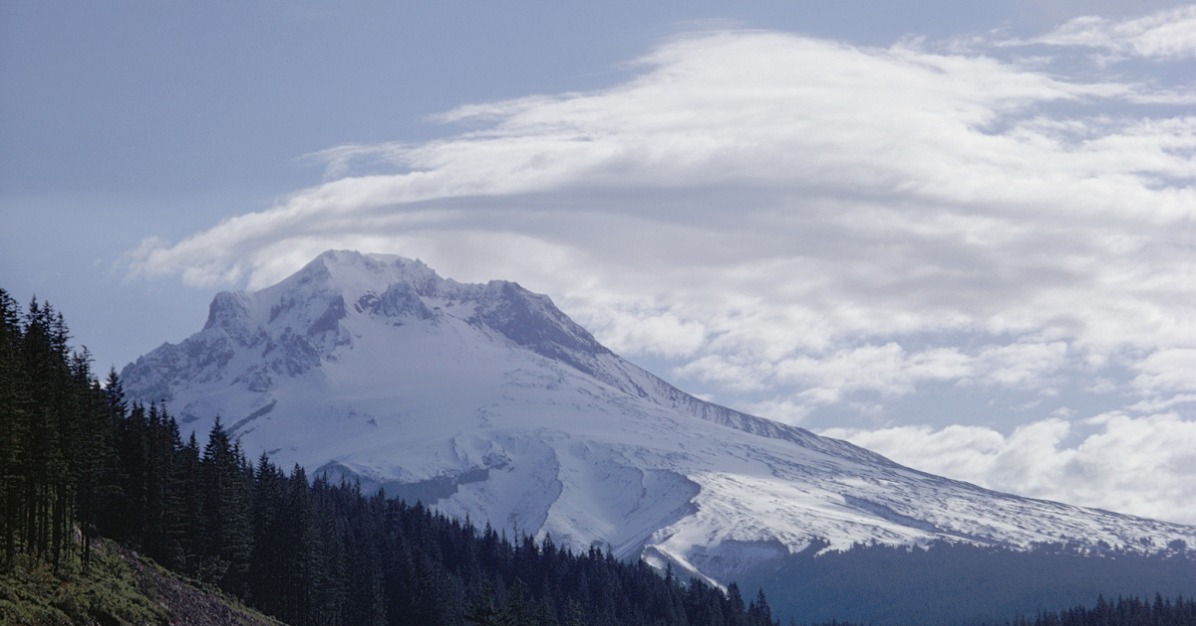 Christmas tree permits