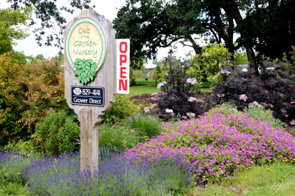 Open for Business Sign - Out in the Garden Nursery