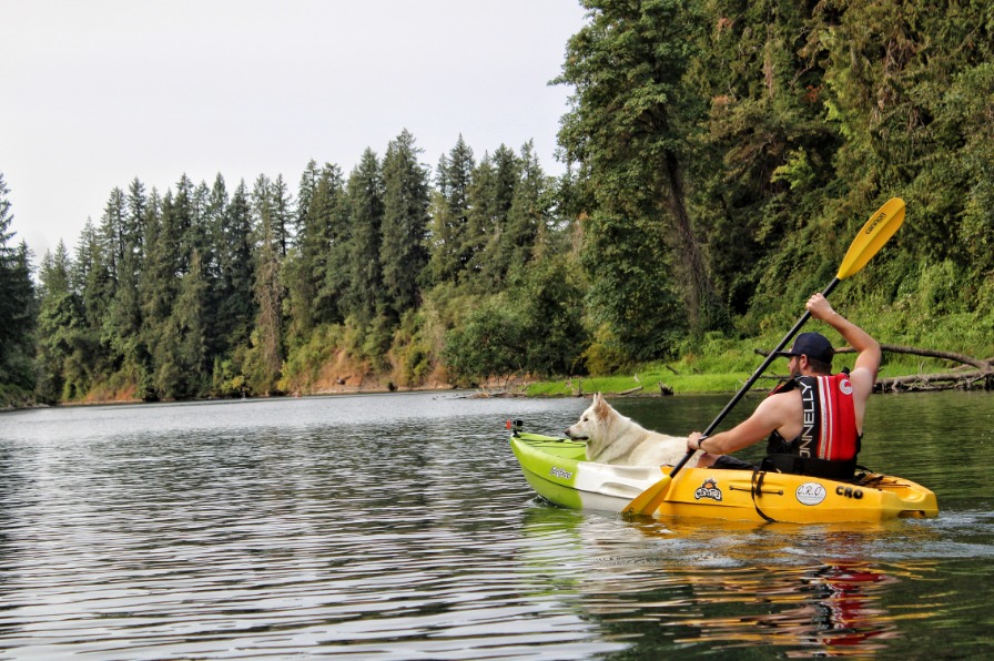 Kayaking with Dog on Estacada Lake