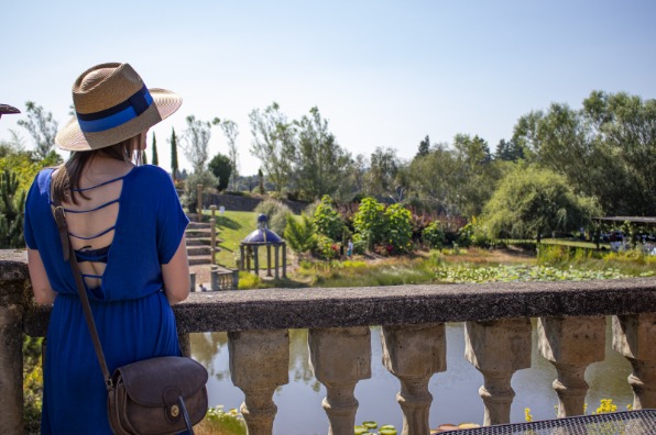 View of Villa Catalana Lake from Patio