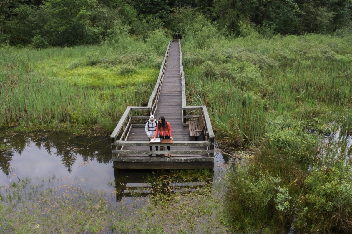 Wildwood Wetlands Boardwalk