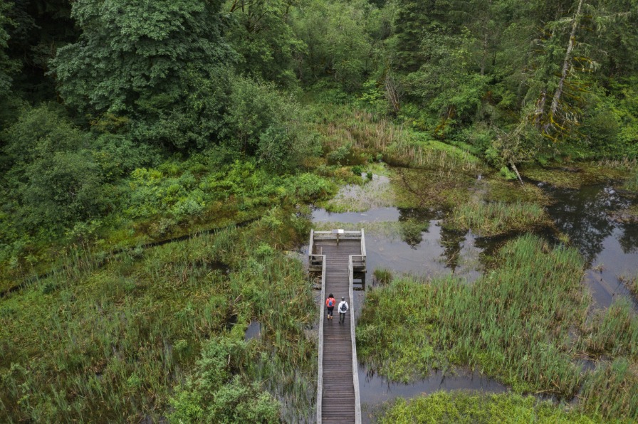 Wildwood Recreation Site Wetland Boardwalk