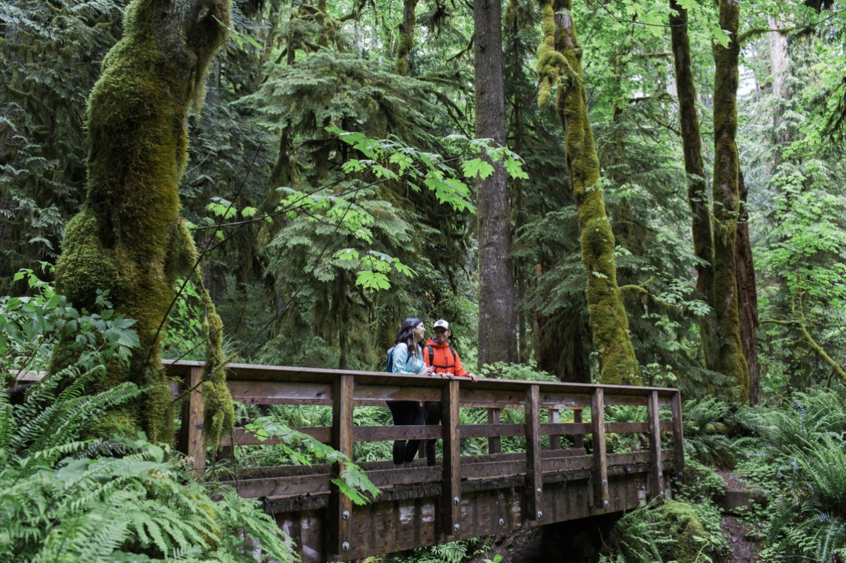 Couple on Wildwood Footbridge 