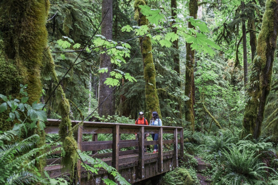 Couple Walking on Wildwood Footbridge