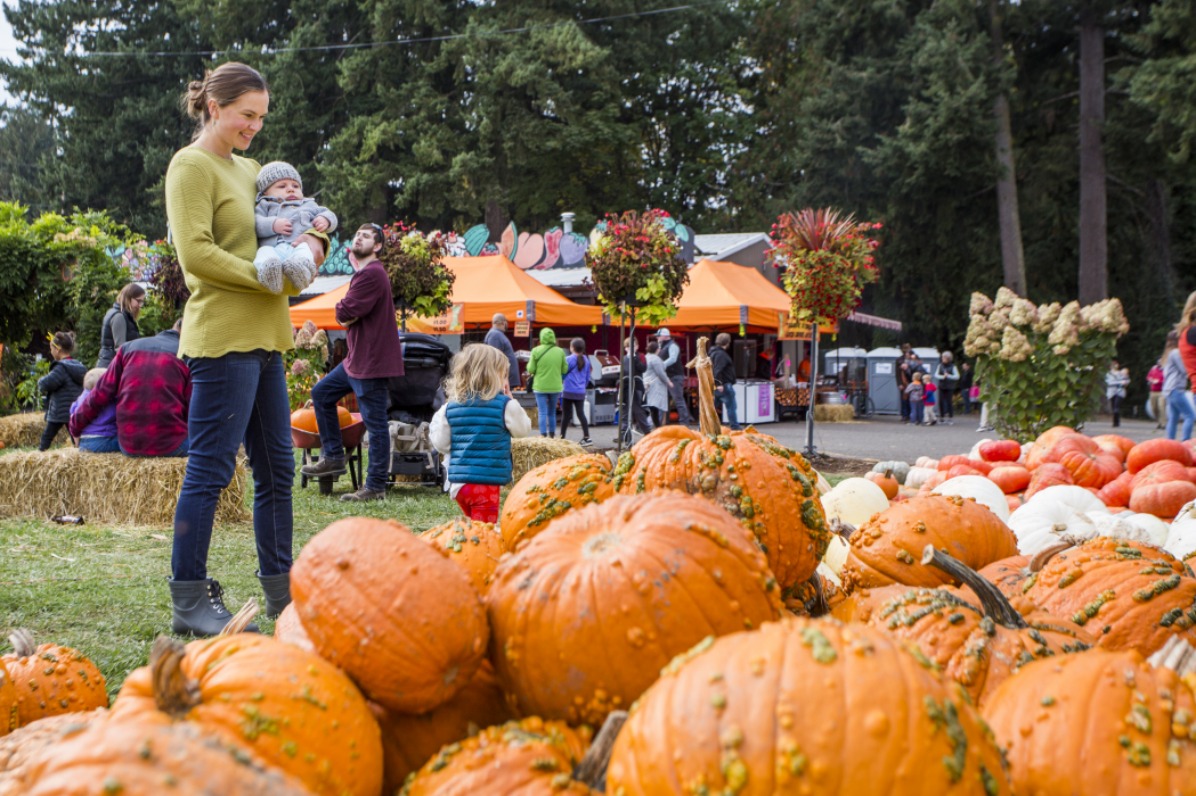 Family having fun at pumpkin patch at Fir Point Farms