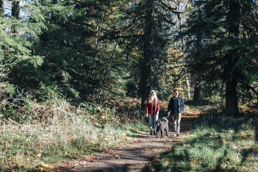 Milo McIver Park walking trail in Estacada, Oregon