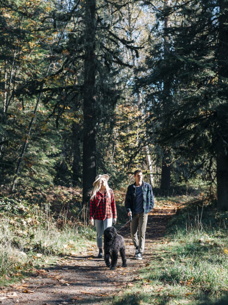 Walking dog on trail at Milo McIver Park 