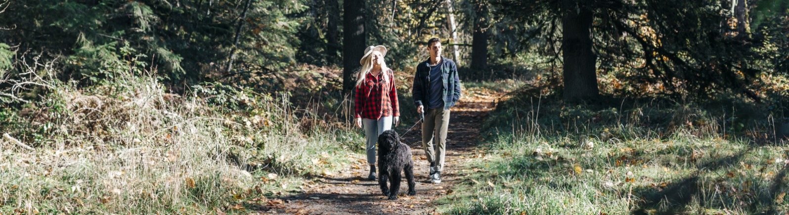Walking dog on trail at Milo McIver Park 