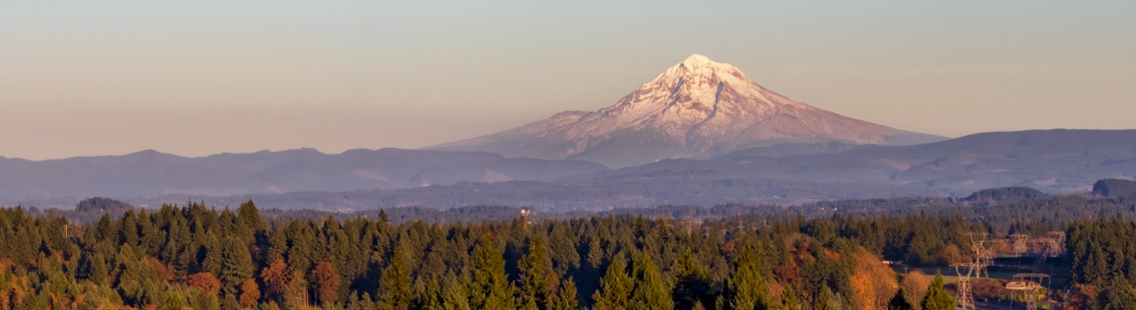 Grape vines and Mt. Hood in fall