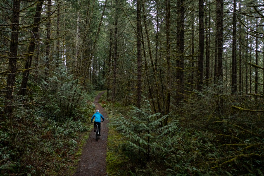 View of mountain biker riding on a path heading away from camera