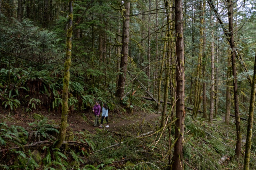 Couple walking on a path in the Moalla River Recreation Corridor