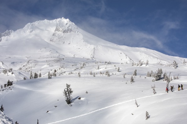 Cross country skiers trek on a trail beneath Mt. Hood and blue skies