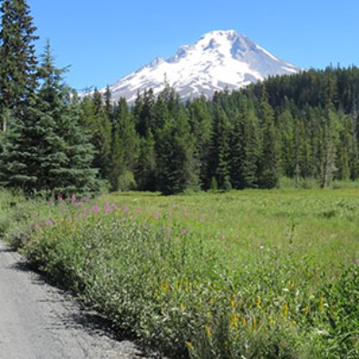 View of Mt. Hood from Summit Meadow in Government Camp, Oregon