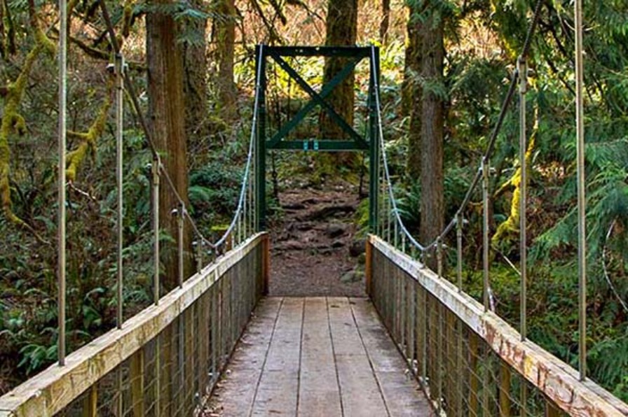 Halfway down the swinging bridge at Metzler photo shows the beginning of the dirt hiking trail. The path is surrounded by roots, rocks and mossy trees.