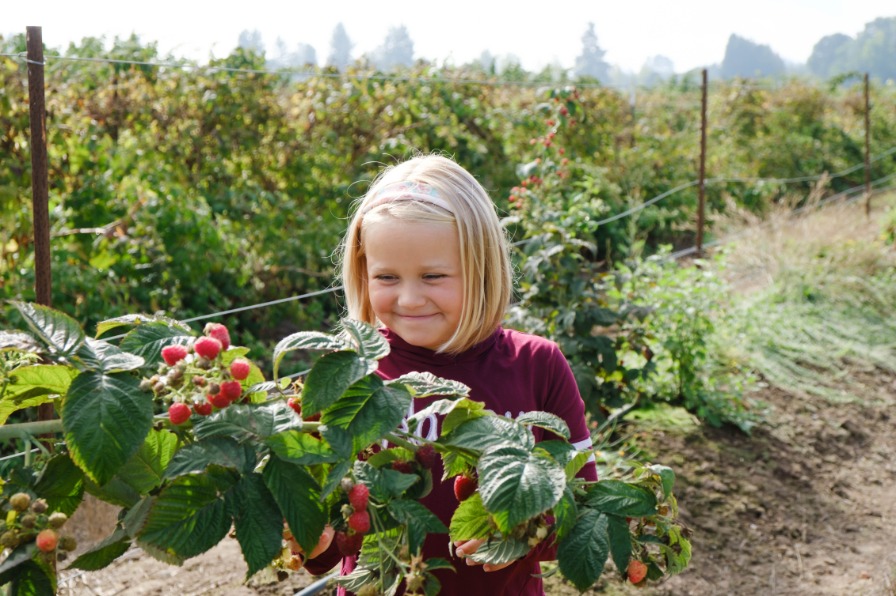 Girl at Peoria Farms upick in Corvallis, Oregon