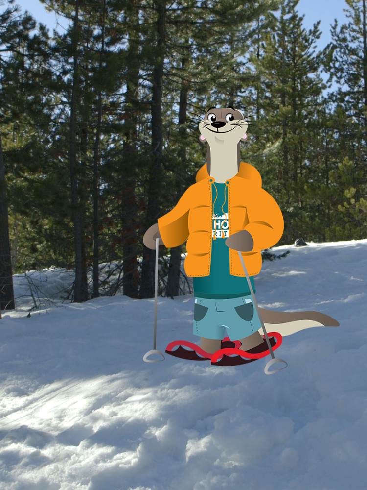 Cartoon otter snowshoeing 
