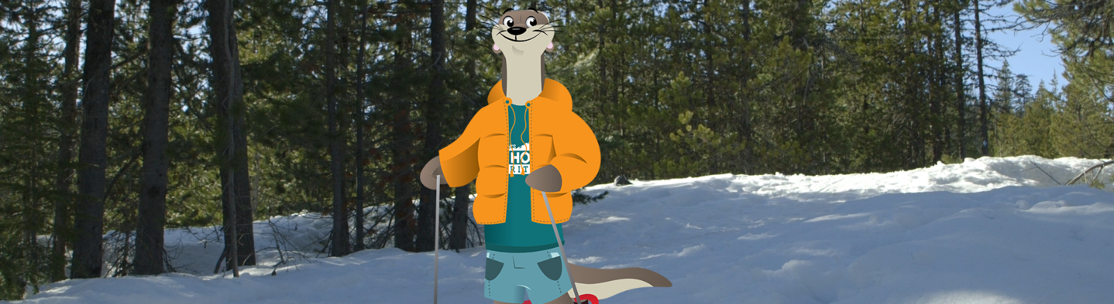 Cartoon otter snowshoeing 