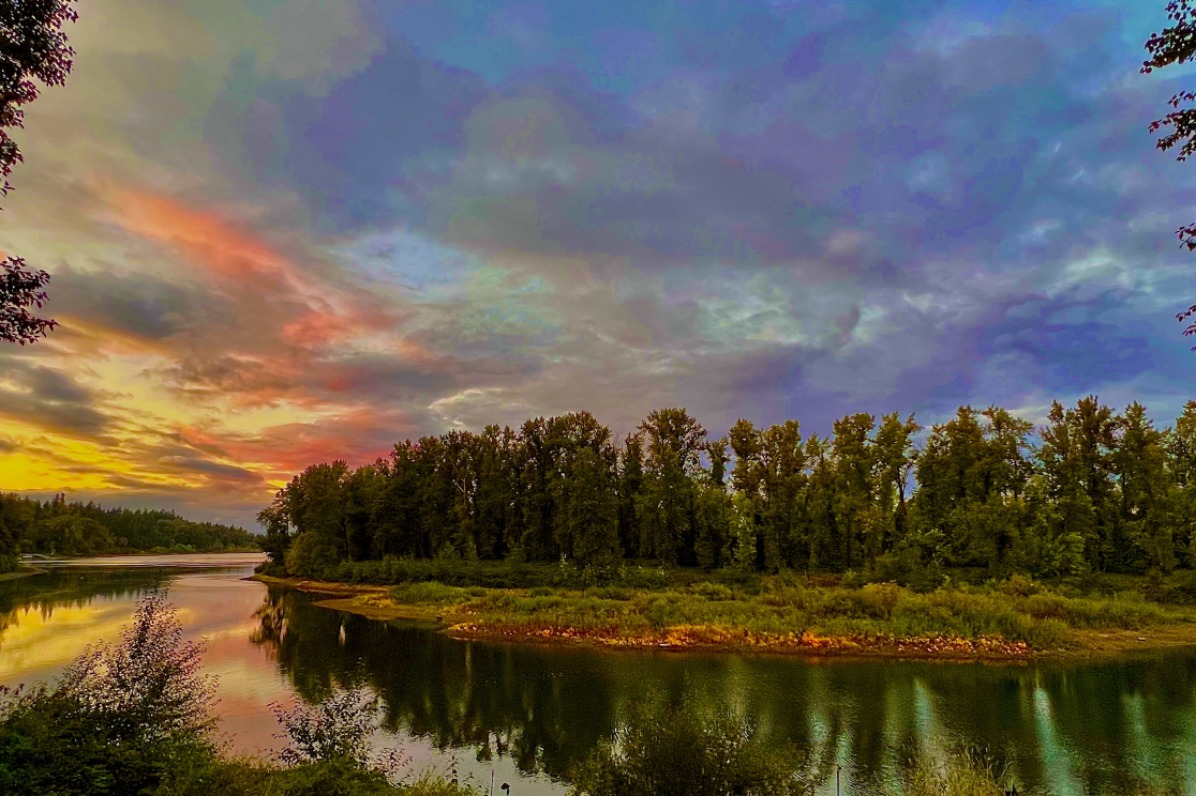 View of the Willamette River and Goat Island at sunset. The view is framed with silhouetted trees on either side and the bright sunset of yellow, red, purple & blue is reflecting into the river.