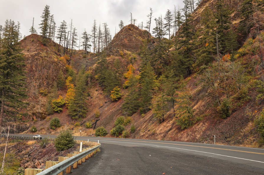 Fall foliage and burn scars on hillside