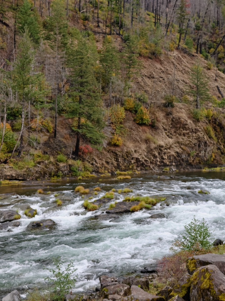 River rapids next to a sign