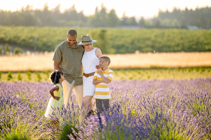 A family of four poses together in a field of blooming lavender. 