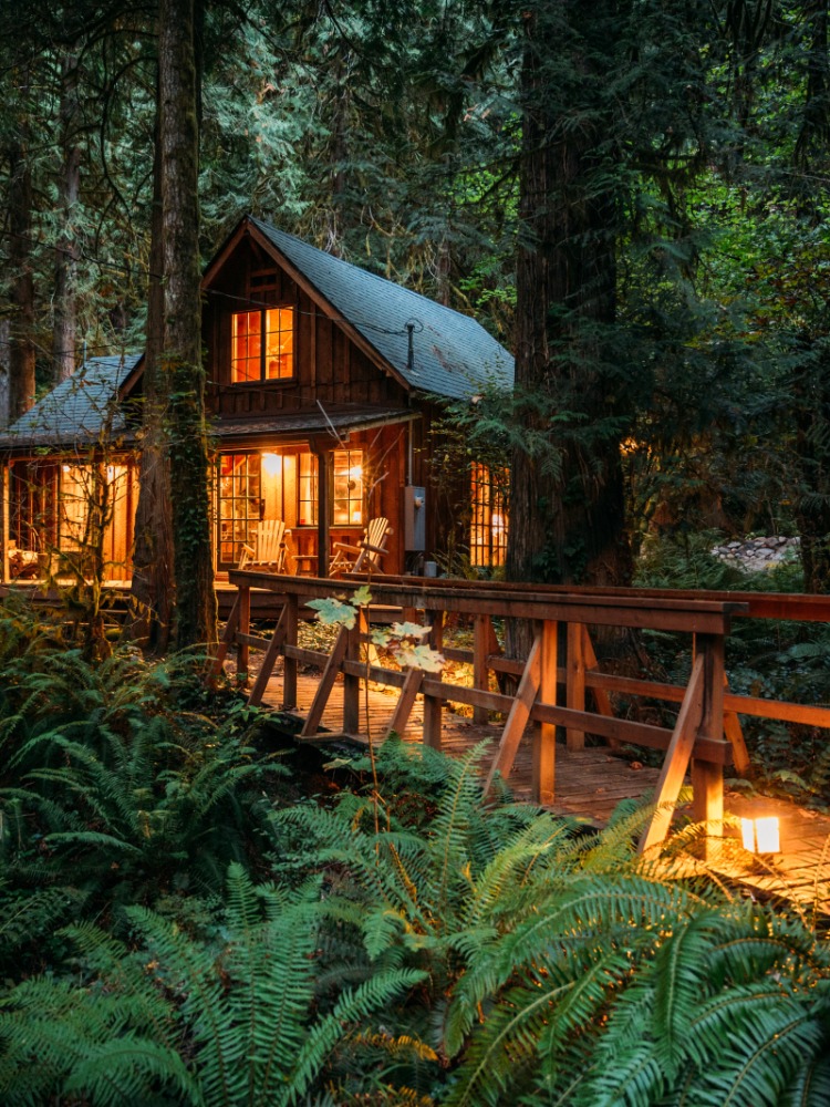 A brown wood cabin across a wood bridge surrounded by green ferns and trees. The bridge it lit up by lanterns.