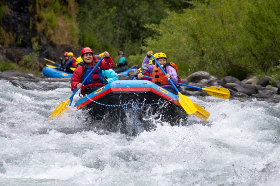 Whitewater Rafters splash through foaming white water with green trees behind them.