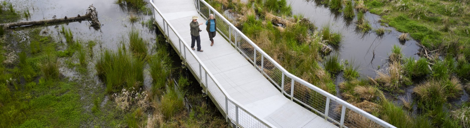 A gray boardwalk cuts through the middle of green grass and brown water.