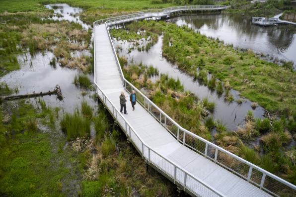 A gray boardwalk cuts through the middle of green grass and brown water.
