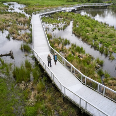 A gray boardwalk cuts through the middle of green grass and brown water.