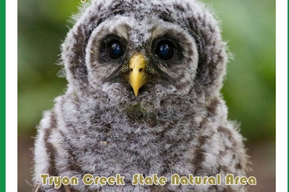Owl Fest 2025 at Tryon Creek State Park