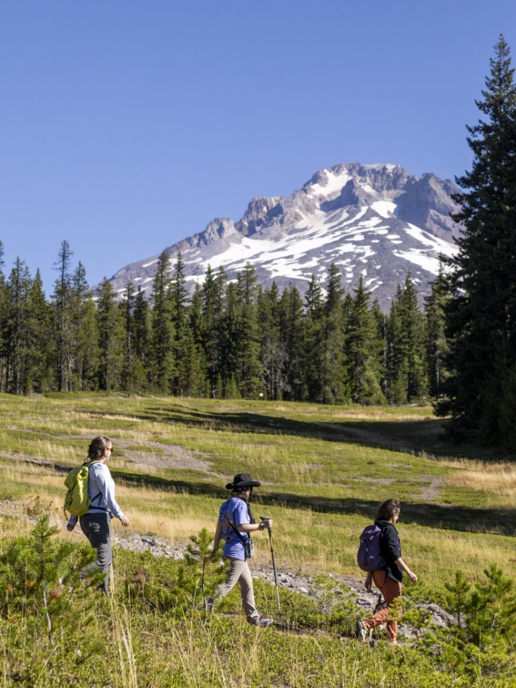 Hikers walk along trail with green grass and green trees around them. Mt. Hood with white snow is behind them with blue sky.