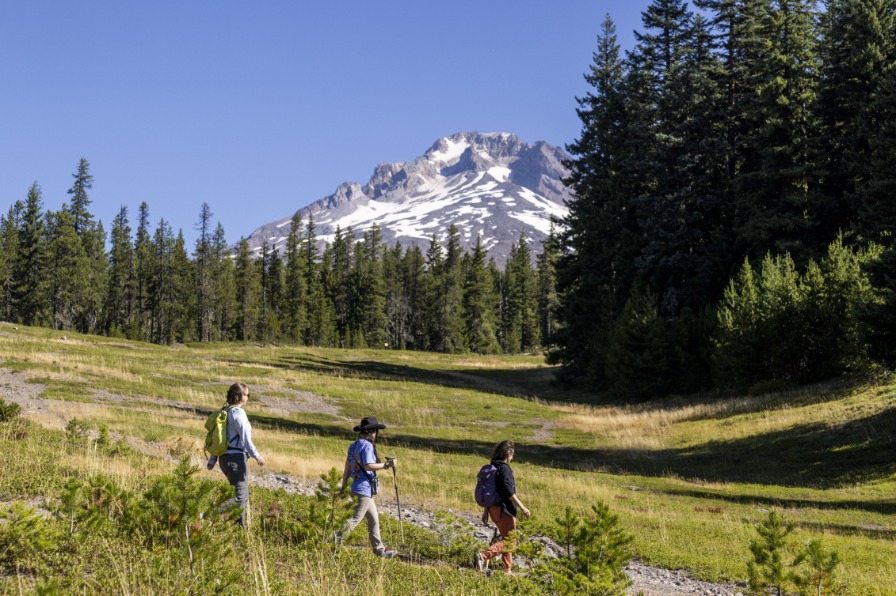 Hikers walk along trail with green grass and green trees around them. Mt. Hood with white snow is behind them with blue sky.