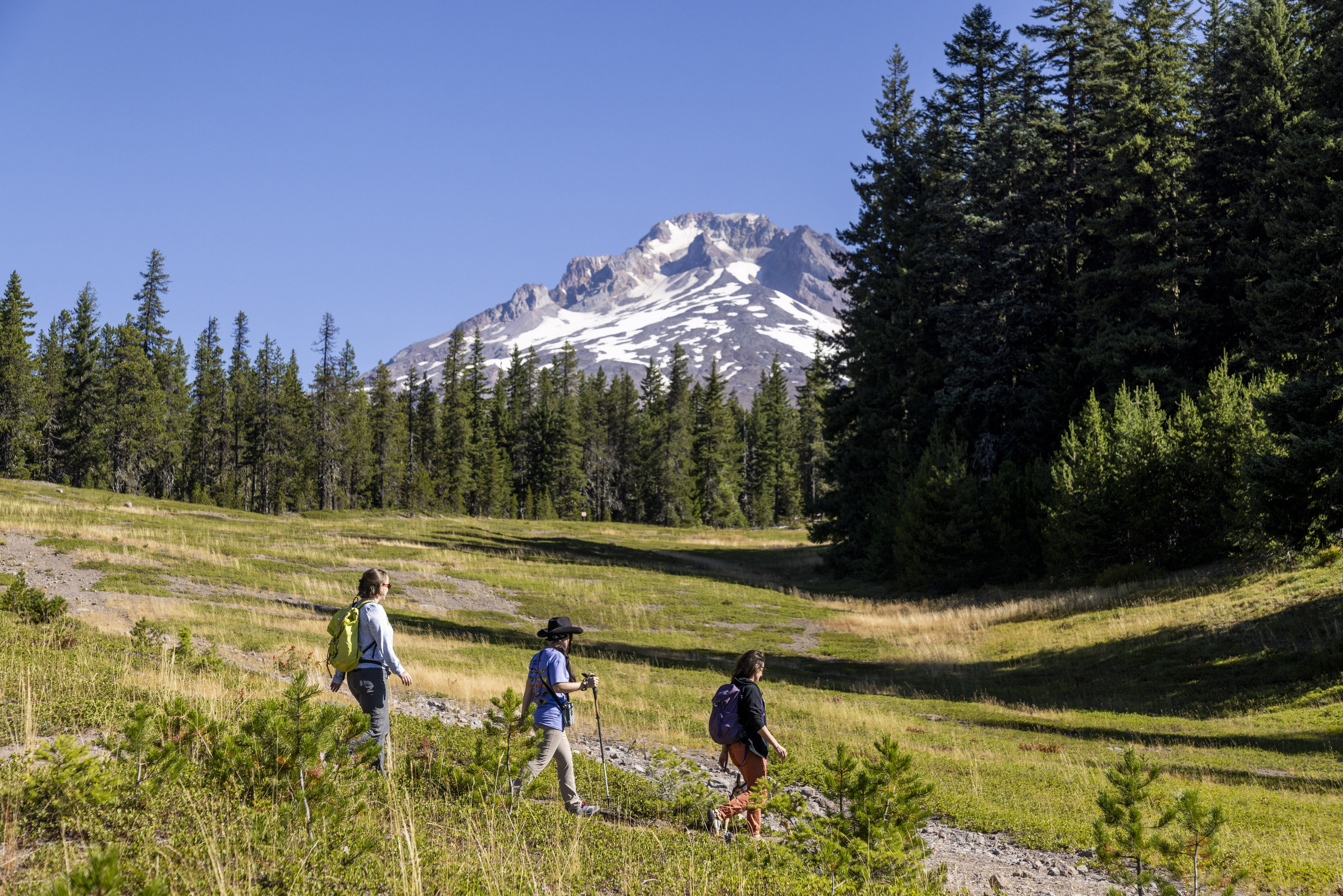 Guided hike with Mt. Hood Outfitters Hikers walk along trail with green grass and green trees around them. Mt. Hood with white snow is behind them with blue sky.